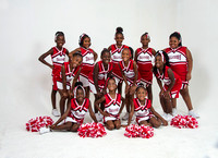 Central Jr. Falcons Cheerleaders 2016